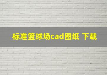 标准篮球场cad图纸 下载